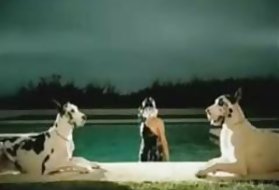 Većina pornića online lady gaga bj komp. porno slike video filmove online